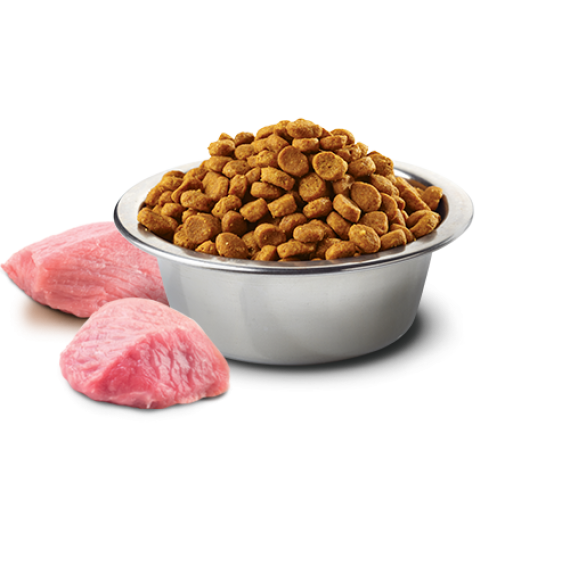 Farmina 貓糧 幼貓 天然無穀物 雞肉 石榴味 1.5kg PND0150038 #糧