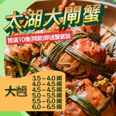 Collection image for: 超級市場