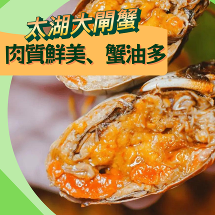 江蘇太湖靚蟹，每天新鮮到港