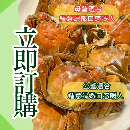 江蘇太湖靚蟹，每天新鮮到港