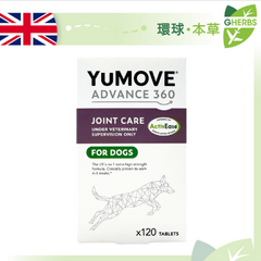 Collection image for: 6個月有效期毛孩區