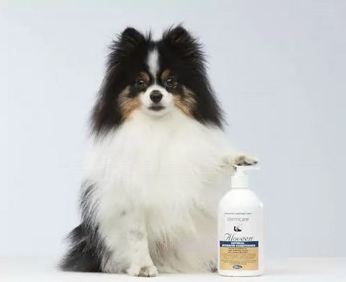 Dermcare Aloveen 三條毛燕麥蘆薈強效護膚素 500ml