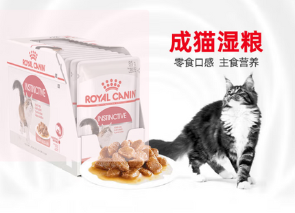 ROYAL CANIN 幼貓營養主食貓濕糧(啫喱) 原箱 85GX12
