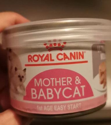 Royal Canin 貓罐 營養主食 離乳貓及母貓 散裝 195g