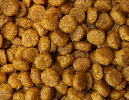 希爾思 貓用 c/d 泌尿道多重護理獸醫處方濕包【雞肉味】85g